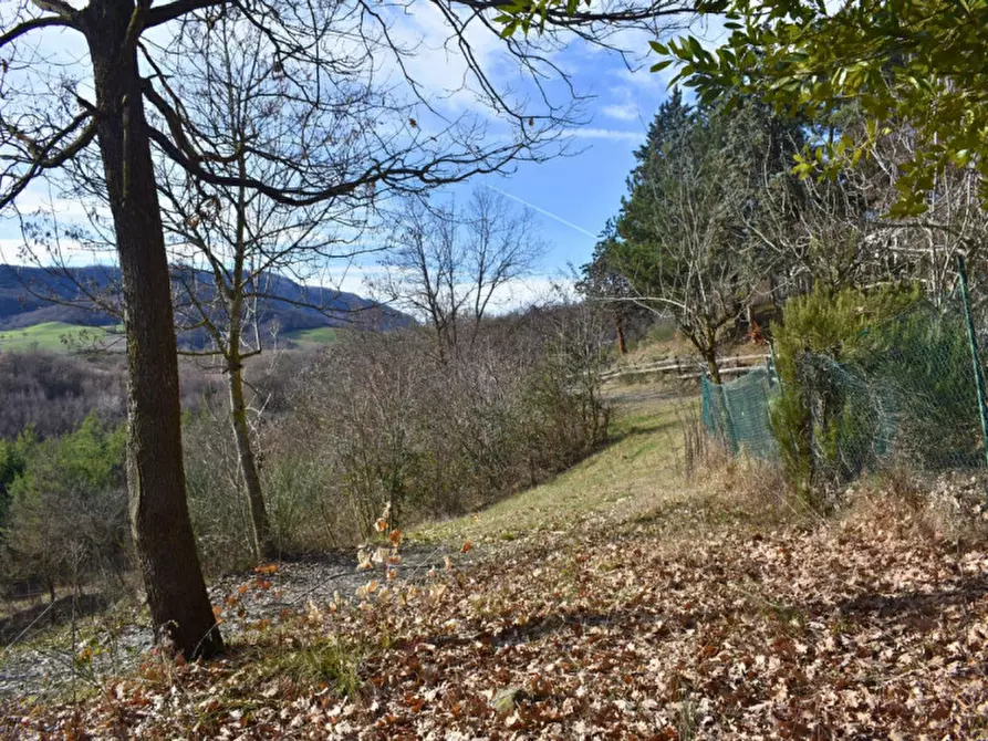 Immagine 60 di Terreno in vendita  in strada le Mole a Neviano Degli Arduini