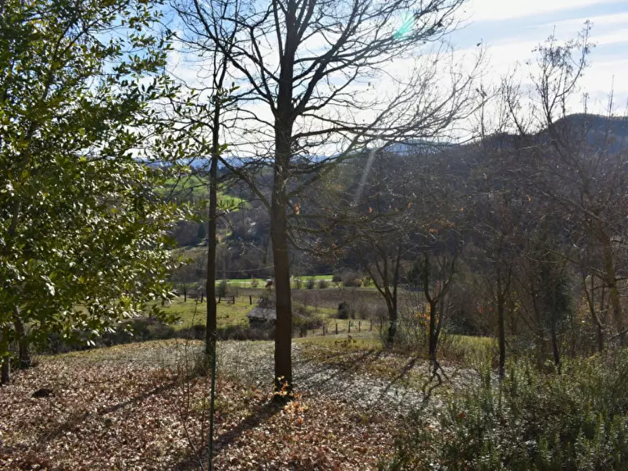 Immagine 61 di Terreno in vendita  in strada le Mole a Neviano Degli Arduini