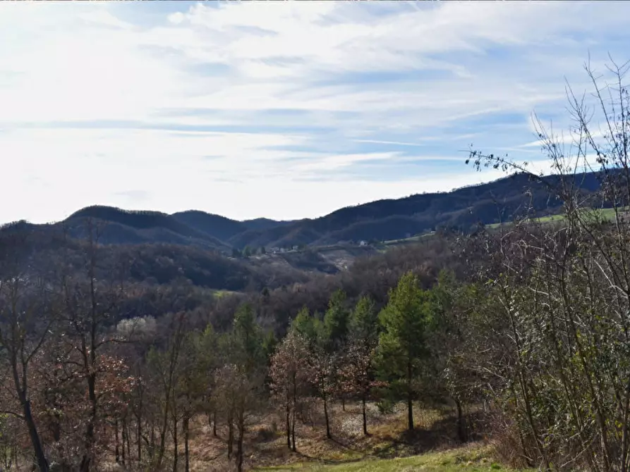Immagine 62 di Terreno in vendita  in strada le Mole a Neviano Degli Arduini