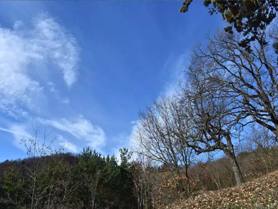 Immagine 63 di Terreno in vendita  in strada le Mole a Neviano Degli Arduini