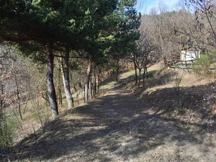 Immagine 65 di Terreno in vendita  in strada le Mole a Neviano Degli Arduini
