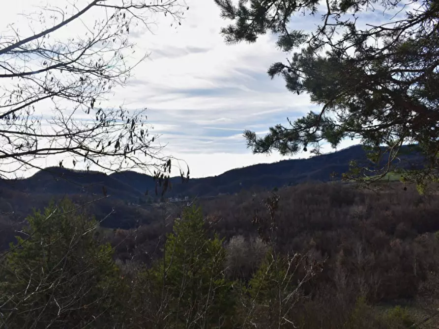 Immagine 66 di Terreno in vendita  in strada le Mole a Neviano Degli Arduini