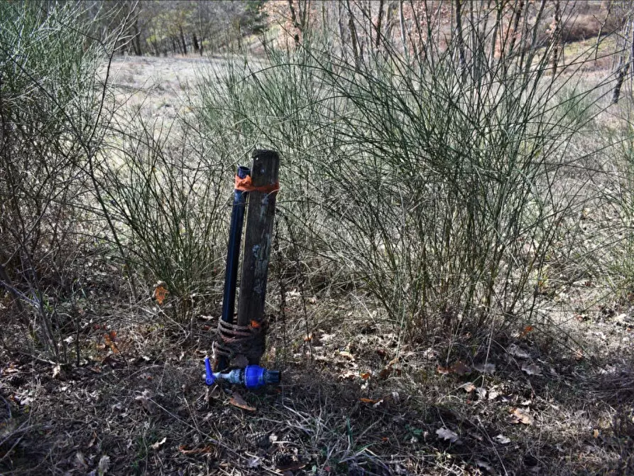 Immagine 67 di Terreno in vendita  in strada le Mole a Neviano Degli Arduini
