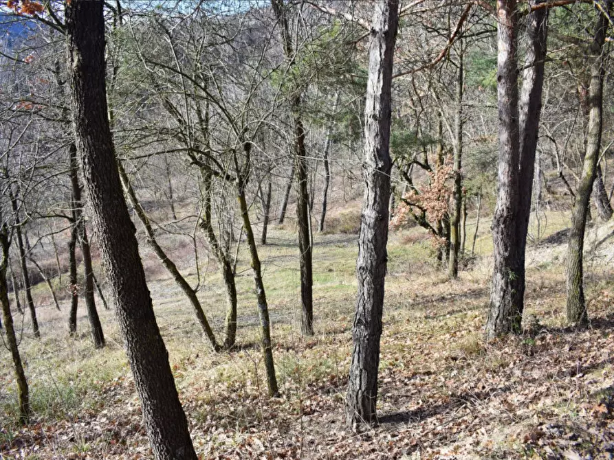 Immagine 68 di Terreno in vendita  in strada le Mole a Neviano Degli Arduini