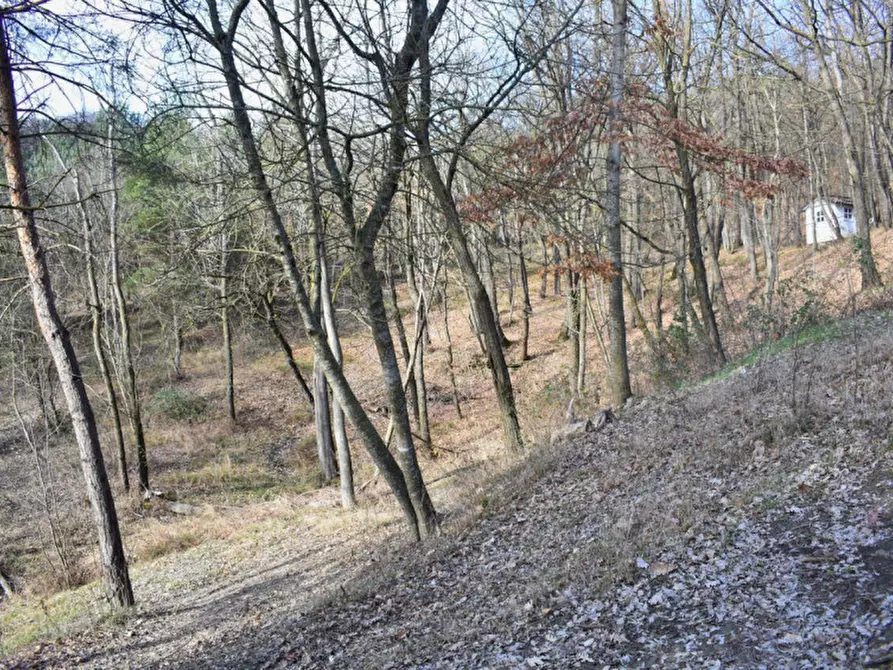 Immagine 70 di Terreno in vendita  in strada le Mole a Neviano Degli Arduini