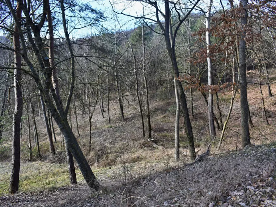 Immagine 71 di Terreno in vendita  in strada le Mole a Neviano Degli Arduini