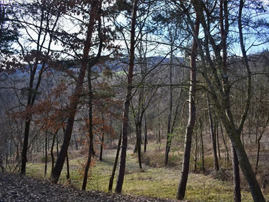 Immagine 72 di Terreno in vendita  in strada le Mole a Neviano Degli Arduini