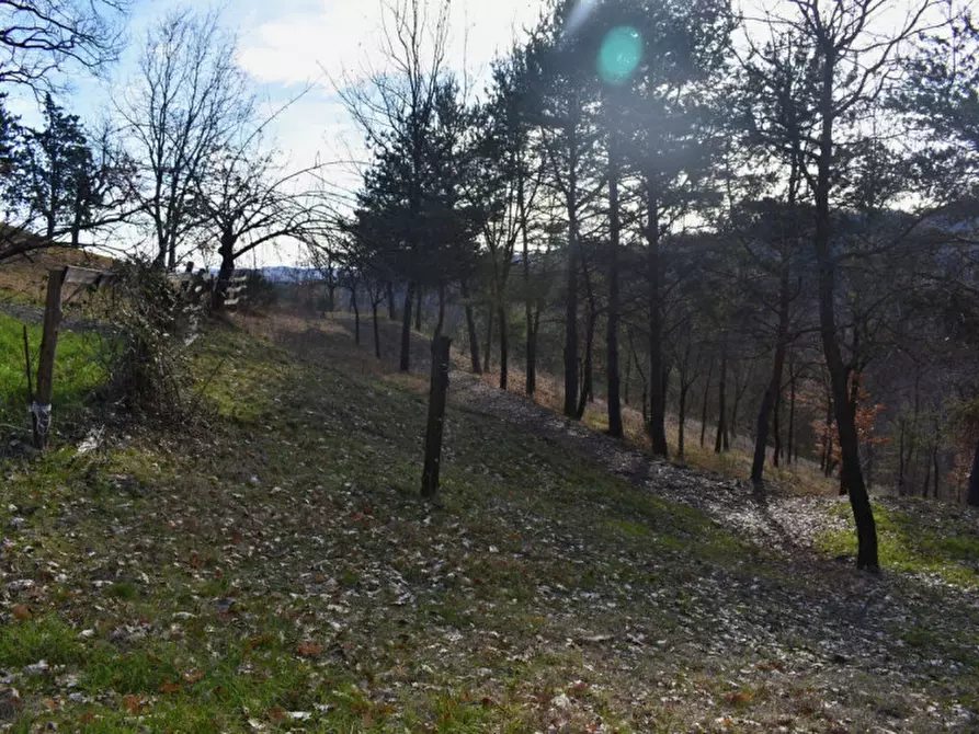 Immagine 76 di Terreno in vendita  in strada le Mole a Neviano Degli Arduini