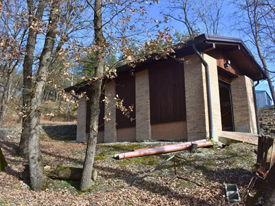 Immagine 78 di Terreno in vendita  in strada le Mole a Neviano Degli Arduini