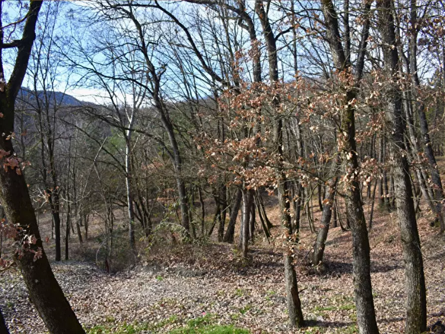 Immagine 81 di Terreno in vendita  in strada le Mole a Neviano Degli Arduini