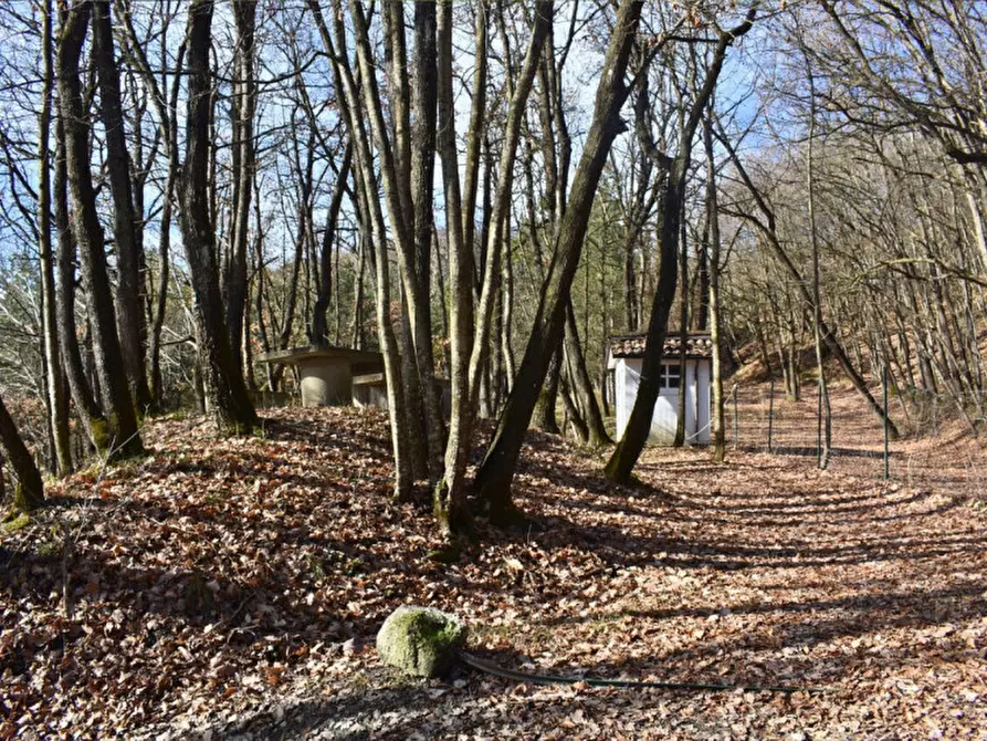 Immagine 82 di Terreno in vendita  in strada le Mole a Neviano Degli Arduini