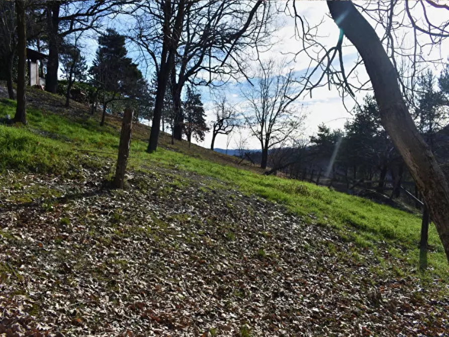 Immagine 83 di Terreno in vendita  in strada le Mole a Neviano Degli Arduini