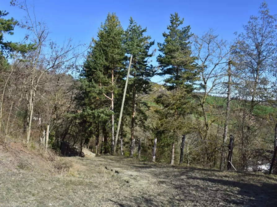 Immagine 86 di Terreno in vendita  in strada le Mole a Neviano Degli Arduini