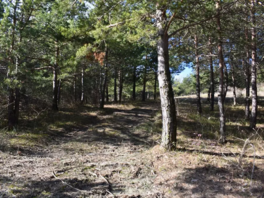 Immagine 87 di Terreno in vendita  in strada le Mole a Neviano Degli Arduini