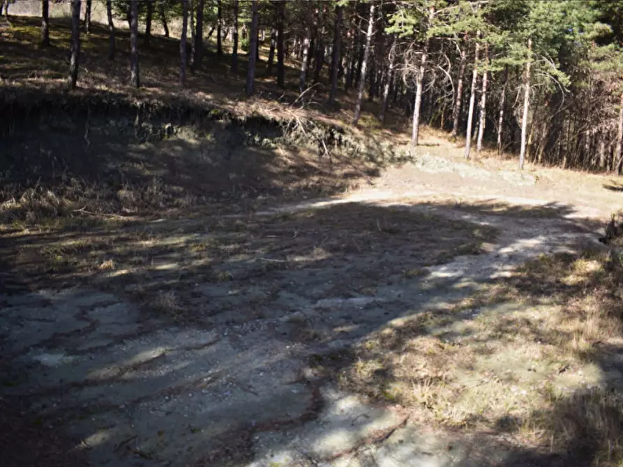 Immagine 89 di Terreno in vendita  in strada le Mole a Neviano Degli Arduini