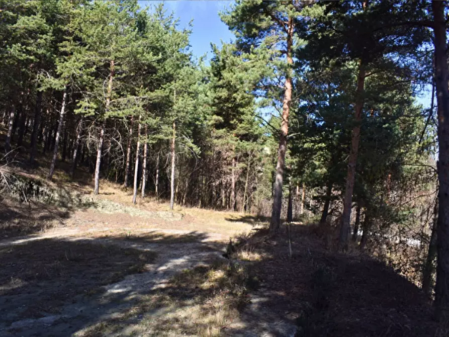 Immagine 90 di Terreno in vendita  in strada le Mole a Neviano Degli Arduini