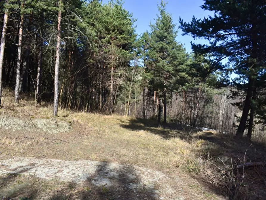 Immagine 92 di Terreno in vendita  in strada le Mole a Neviano Degli Arduini