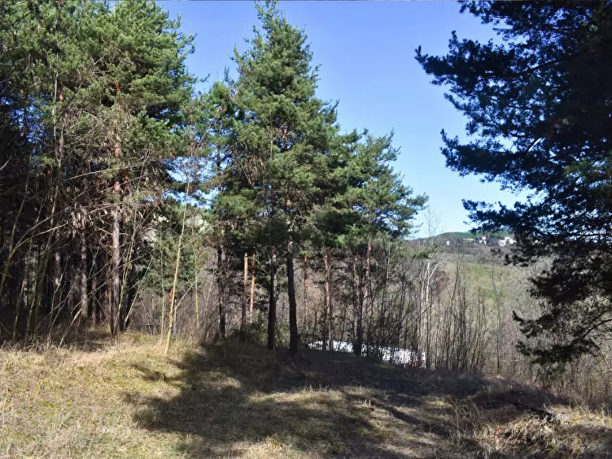 Immagine 93 di Terreno in vendita  in strada le Mole a Neviano Degli Arduini