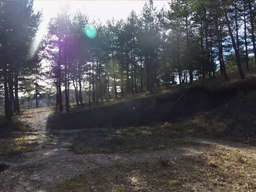 Immagine 94 di Terreno in vendita  in strada le Mole a Neviano Degli Arduini
