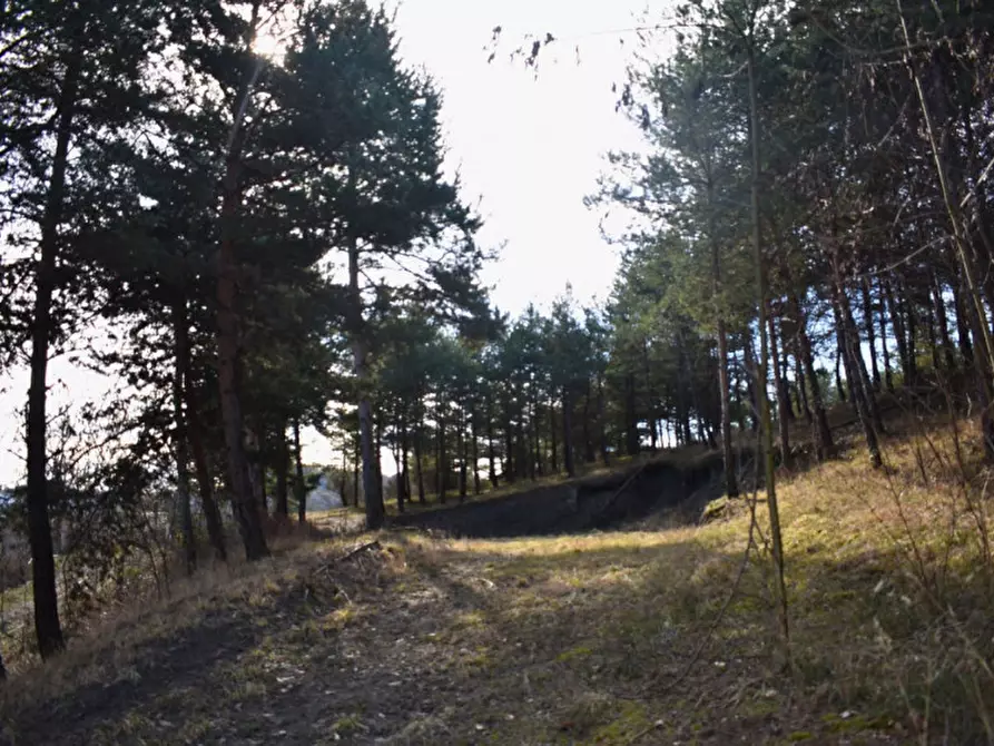 Immagine 96 di Terreno in vendita  in strada le Mole a Neviano Degli Arduini