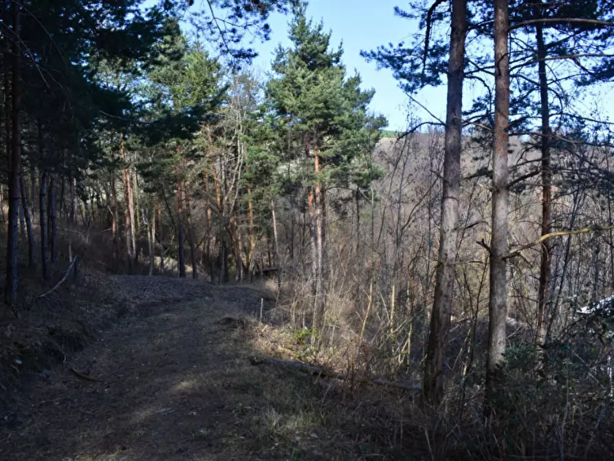 Immagine 97 di Terreno in vendita  in strada le Mole a Neviano Degli Arduini