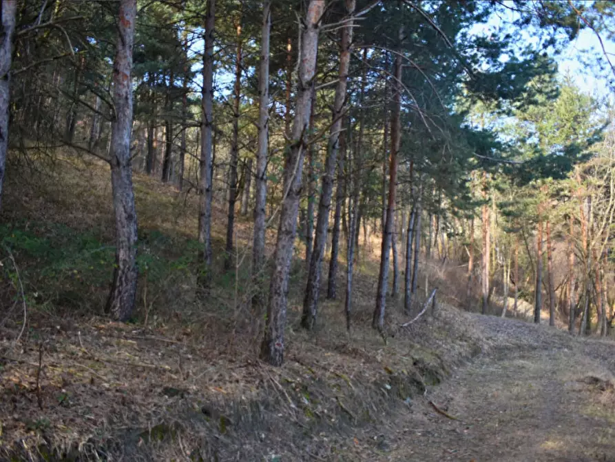 Immagine 98 di Terreno in vendita  in strada le Mole a Neviano Degli Arduini