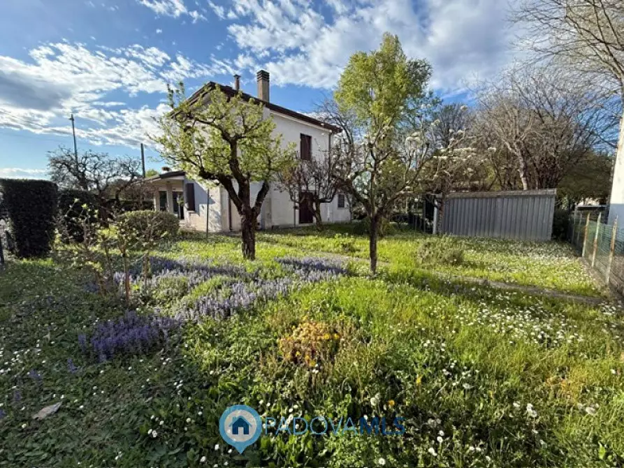 Immagine 16 di Casa indipendente in vendita  in Via Roma, 303 a Albignasego