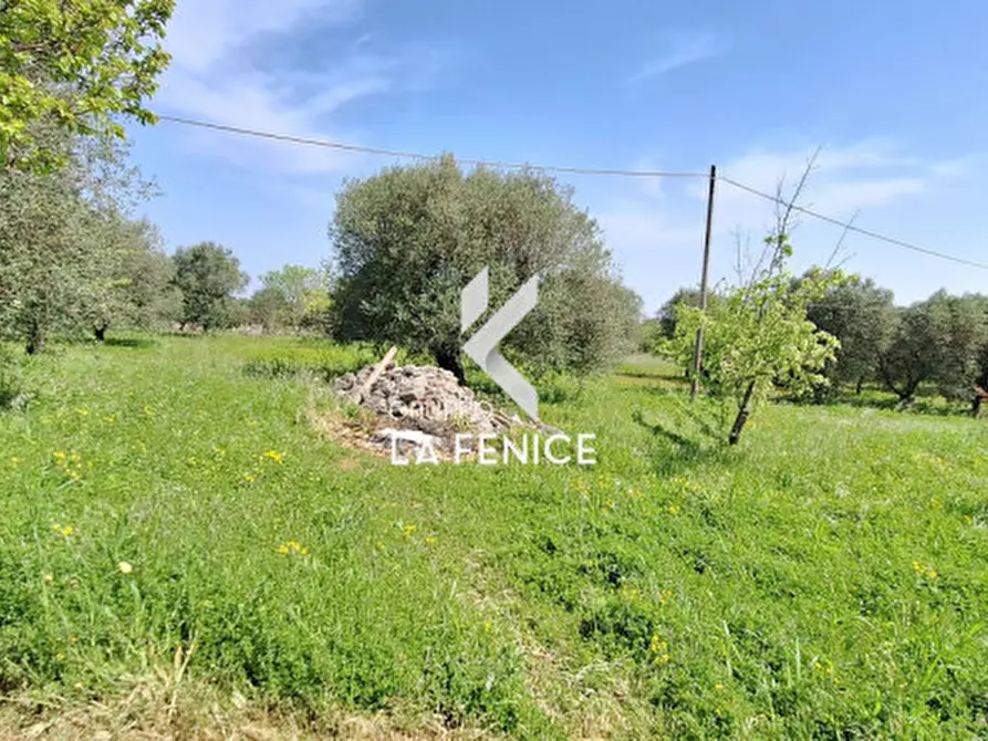 Immagine 42 di Villa in vendita  in contrada calongo a Cisternino