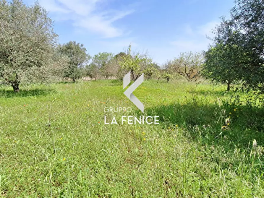 Immagine 43 di Villa in vendita  in contrada calongo a Cisternino