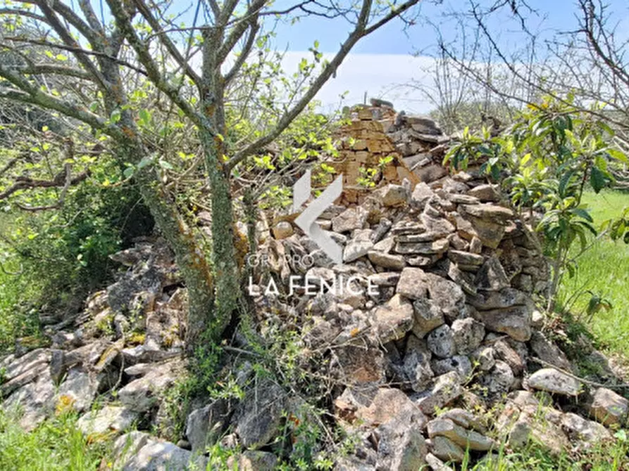 Immagine 44 di Villa in vendita  in contrada calongo a Cisternino