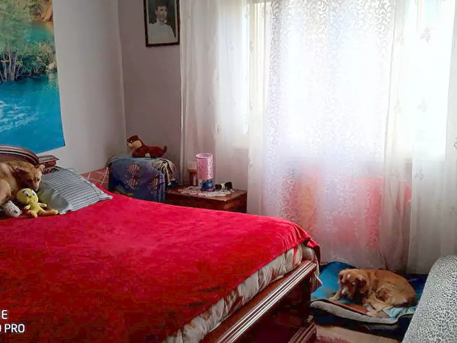 Immagine 19 di Casa bifamiliare in vendita  in VIA ZOPPO a Padova