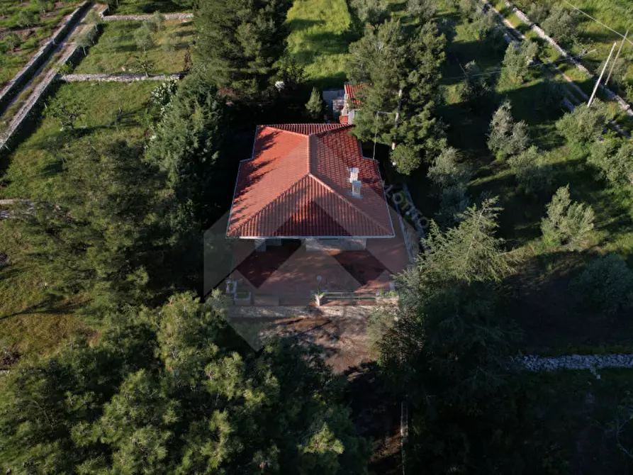 Immagine 1 di Villa in vendita  in Contrada San Marzano a Andria