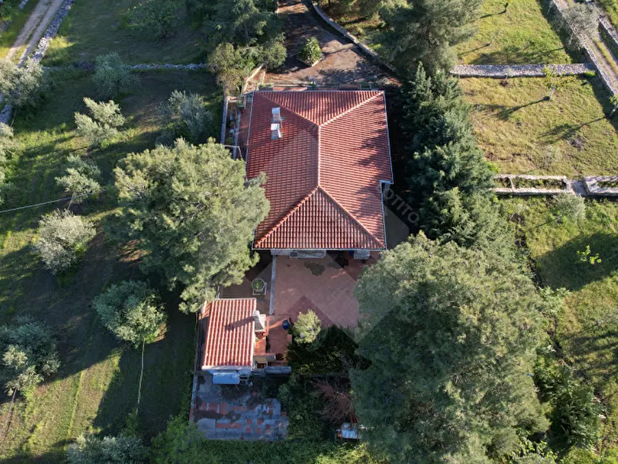 Immagine 2 di Villa in vendita  in Contrada San Marzano a Andria