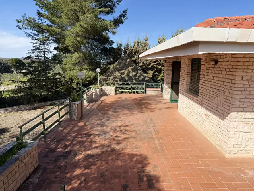 Immagine 3 di Villa in vendita  in Contrada San Marzano a Andria