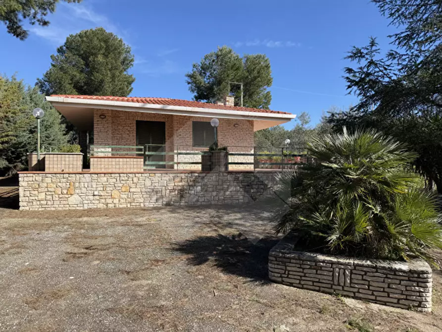 Immagine 3 di Villa in vendita  in Contrada San Marzano a Andria
