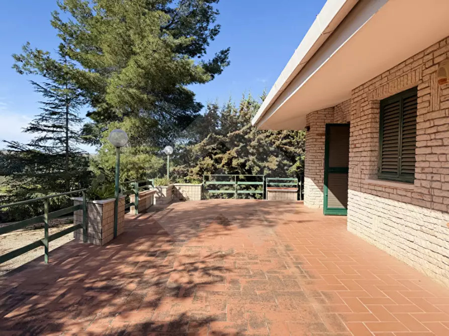 Immagine 4 di Villa in vendita  in Contrada San Marzano a Andria