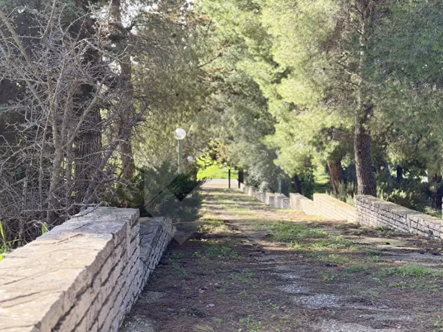 Immagine 4 di Villa in vendita  in Contrada San Marzano a Andria
