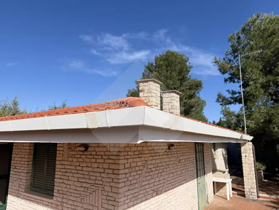 Immagine 5 di Villa in vendita  in Contrada San Marzano a Andria