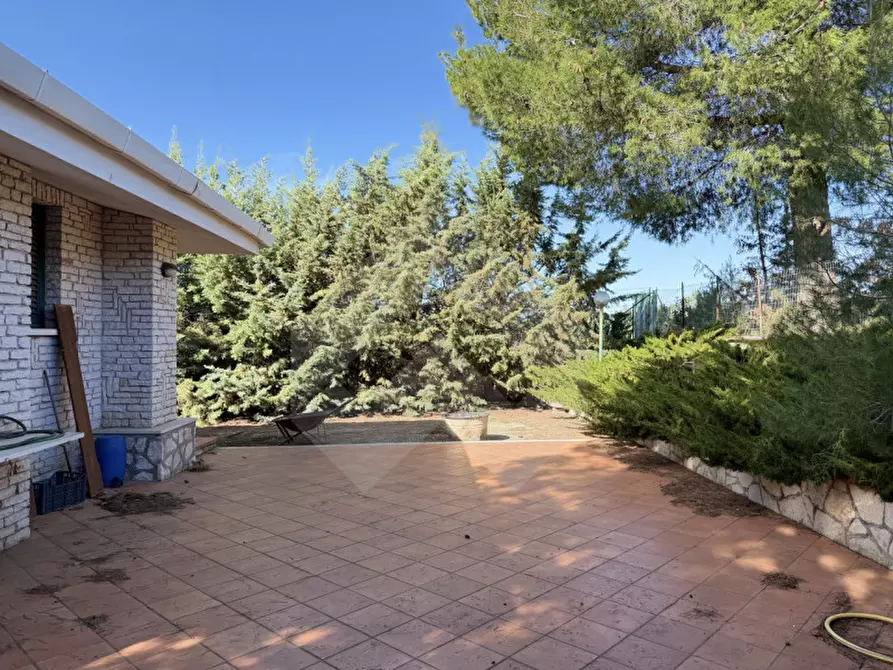 Immagine 9 di Villa in vendita  in Contrada San Marzano a Andria