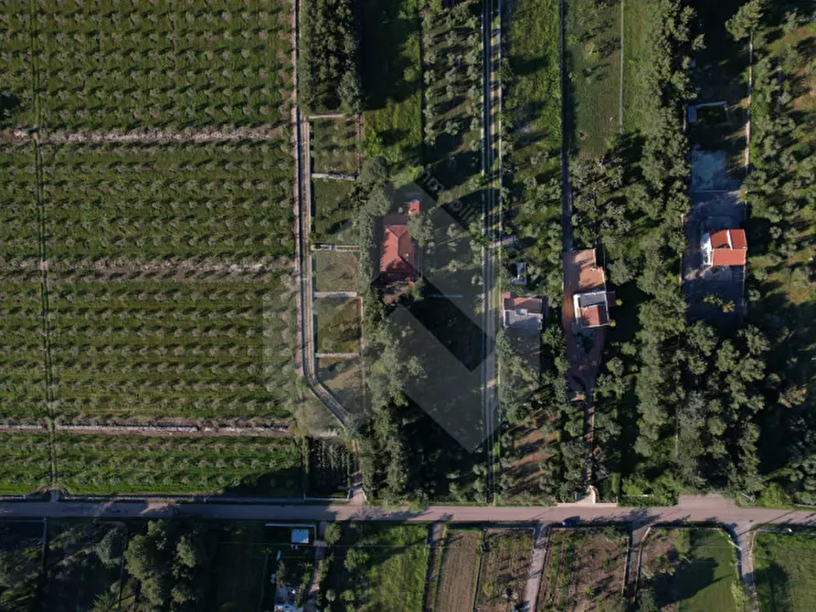 Immagine 20 di Villa in vendita  in Contrada San Marzano a Andria