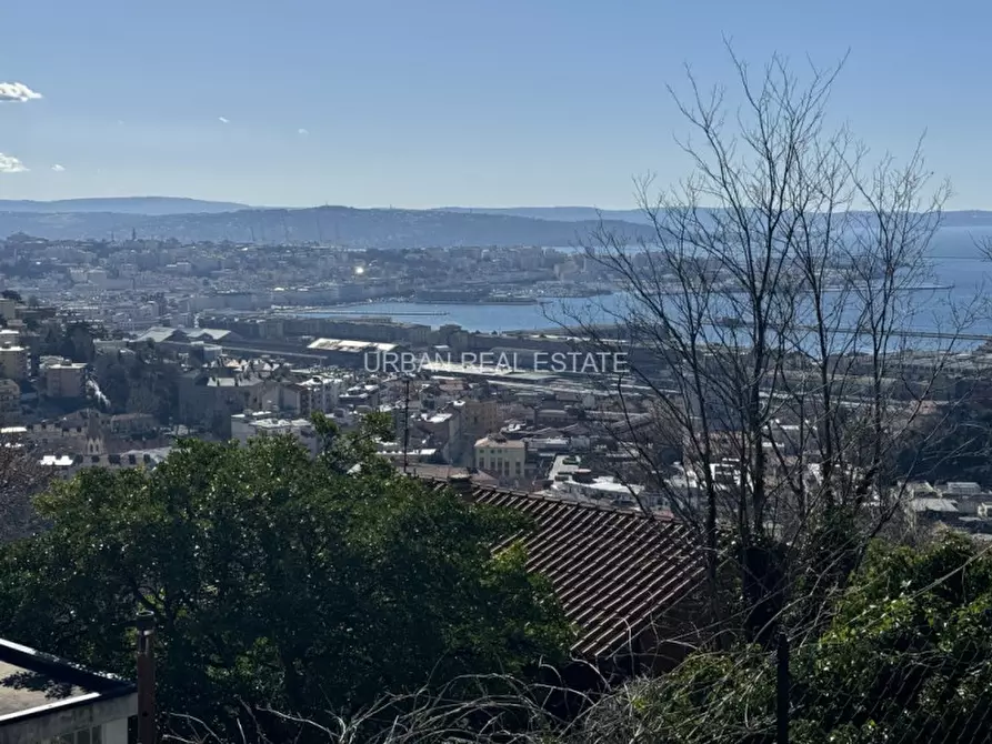 Immagine 28 di Villa in affitto  in Scala Santa 133/1 a Trieste