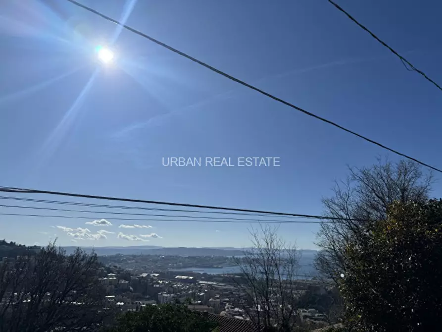 Immagine 42 di Villa in affitto  in Scala Santa 133/1 a Trieste