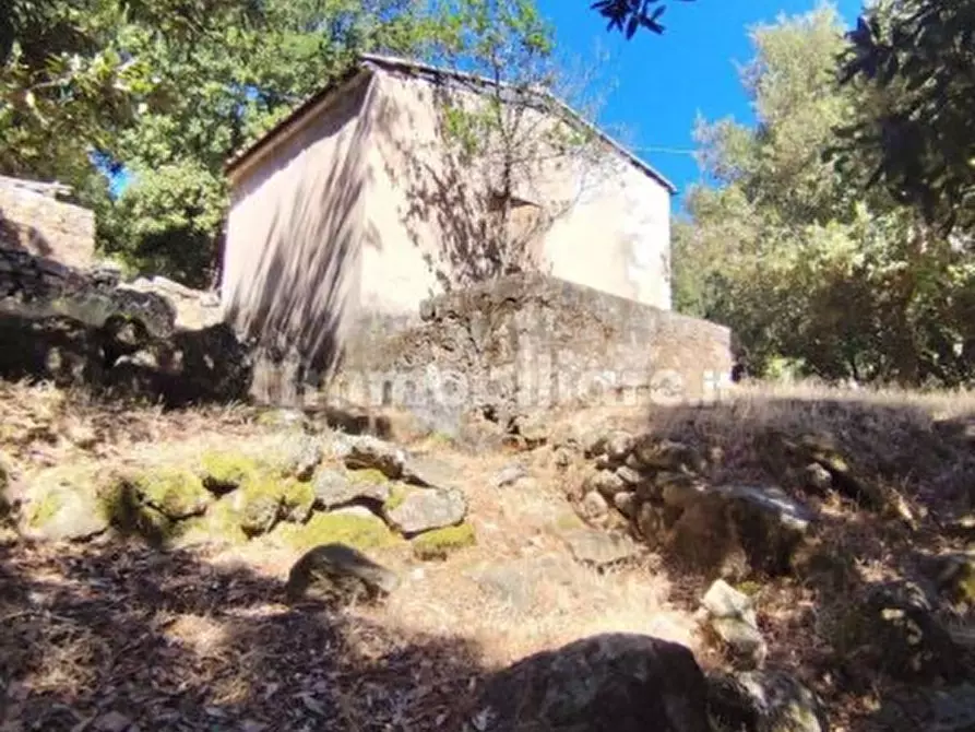 Immagine 4 di Rustico / casale in vendita  in Strada Provinciale 34 a Marciana