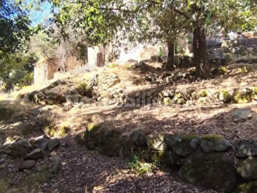 Immagine 13 di Rustico / casale in vendita  in Strada Provinciale 34 a Marciana