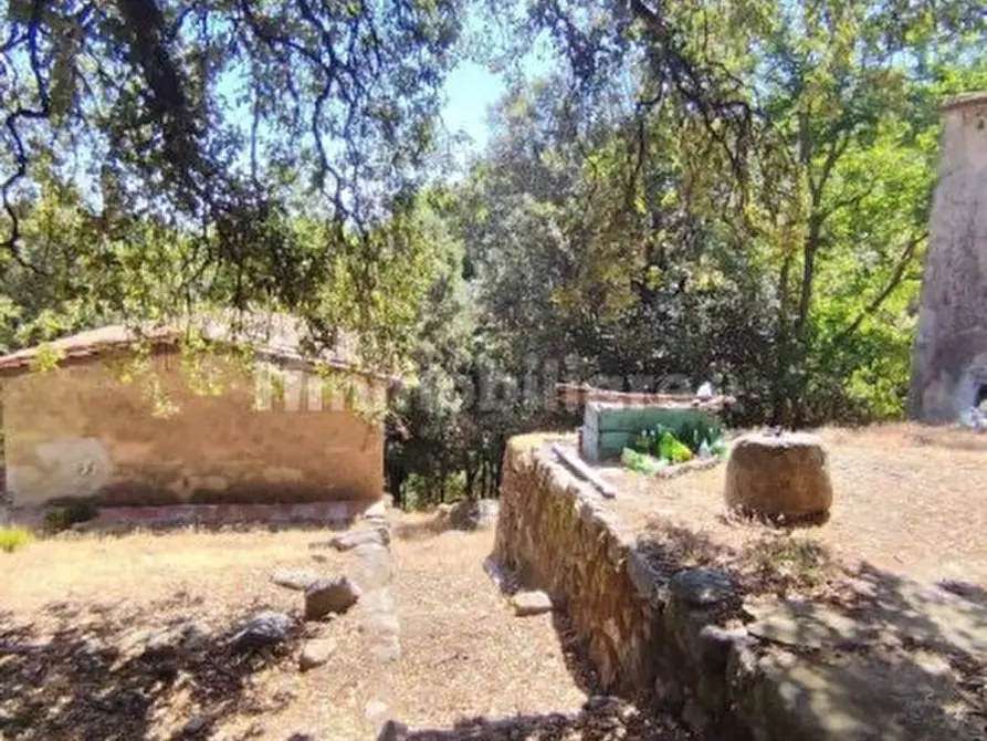 Immagine 14 di Rustico / casale in vendita  in Strada Provinciale 34 a Marciana