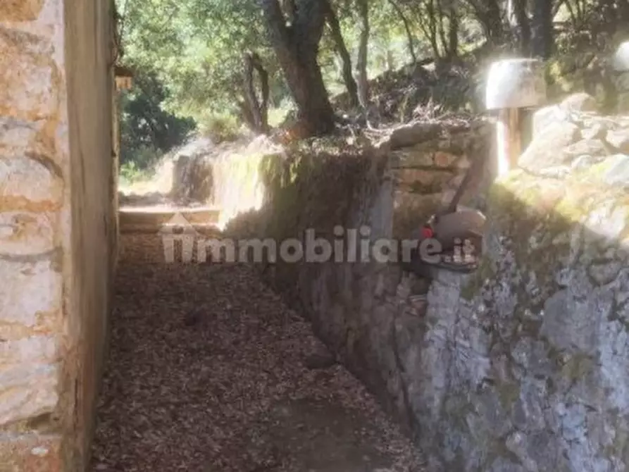 Immagine 15 di Rustico / casale in vendita  in Strada Provinciale 34 a Marciana