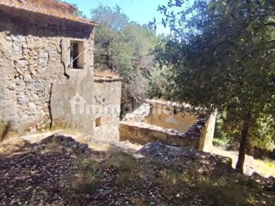 Immagine 16 di Rustico / casale in vendita  in Strada Provinciale 34 a Marciana