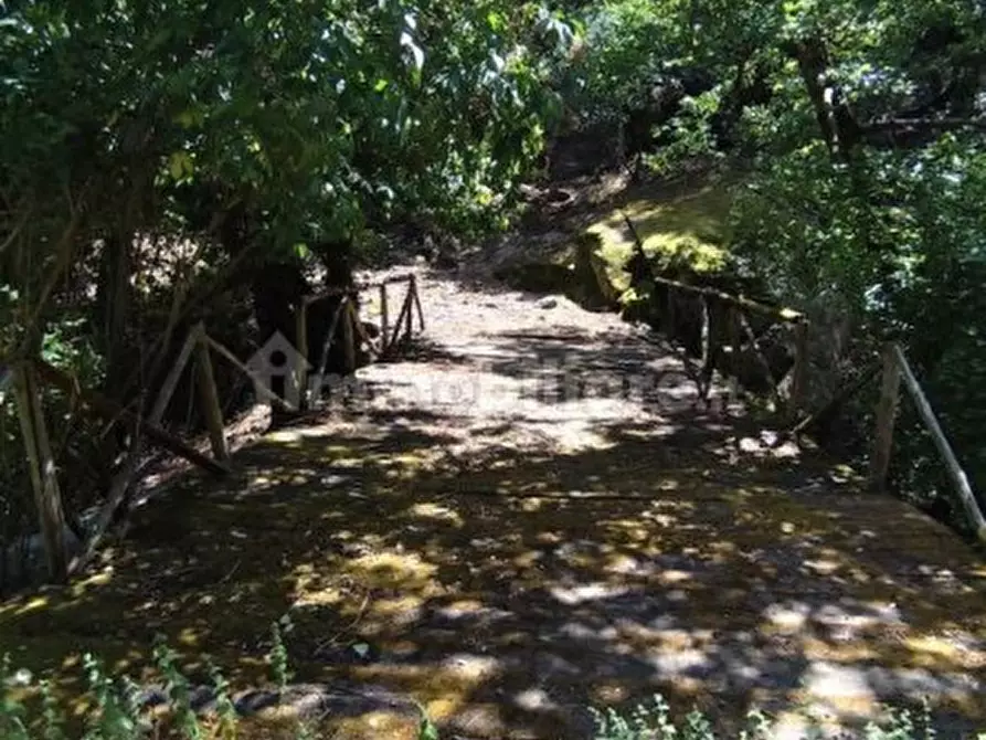 Immagine 17 di Rustico / casale in vendita  in Strada Provinciale 34 a Marciana