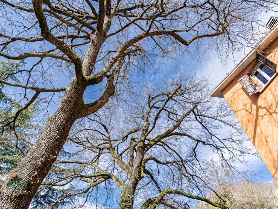 Immagine 69 di Casa bifamiliare in vendita  in Via Badolo a Sasso Marconi