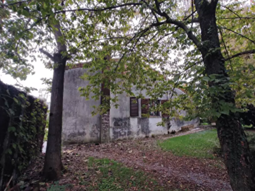 Immagine 3 di Casa indipendente in vendita  in Via Carbonere Nuove, 30 a Chiarano